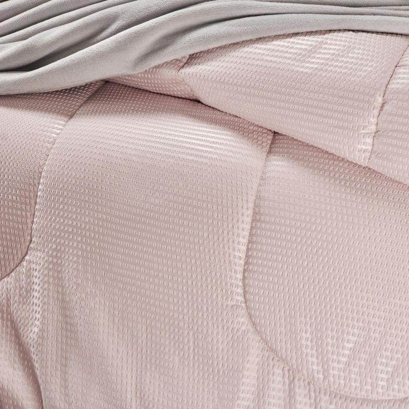 PLUMON-FUNDON-MICRO-COR-UNIC-EXTRADOBLE-ENL.-ROSA-LOTO