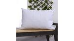 COMBO-PRO.COLCHON-PRO.-ALMOHADA-144H-DOBLE-50x70-BLANCO