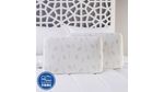 SETX2-ALMOHADA-VISCO-60X40X14-ALOE-VERA-BLANCO