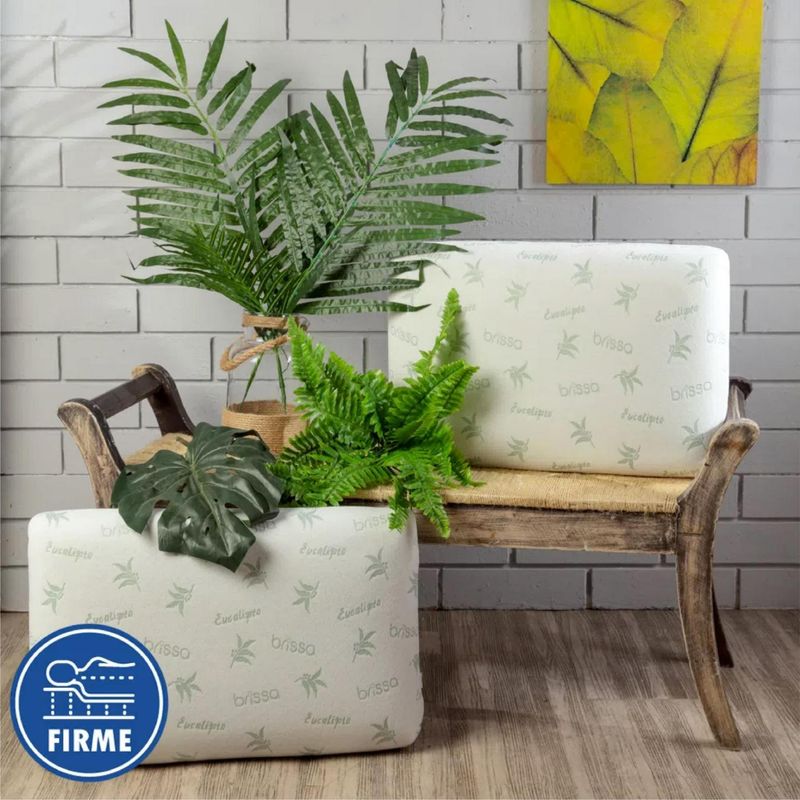 SETX2-ALMOHADA-VISCO-60X40X14-ALOE-VERA-BLANCO_2