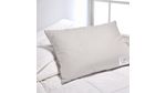 ALMOHADA-233H--CAMARA-INTERNA-PATO-40X60--GRIS