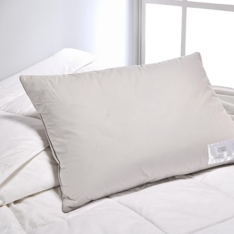 ALMOHADA-233H--CAMARA-INTERNA-PATO-40X60--GRIS