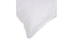 ALMOHADA-300H--PLUMAS-PATO-85-15-50X70--BLANCO