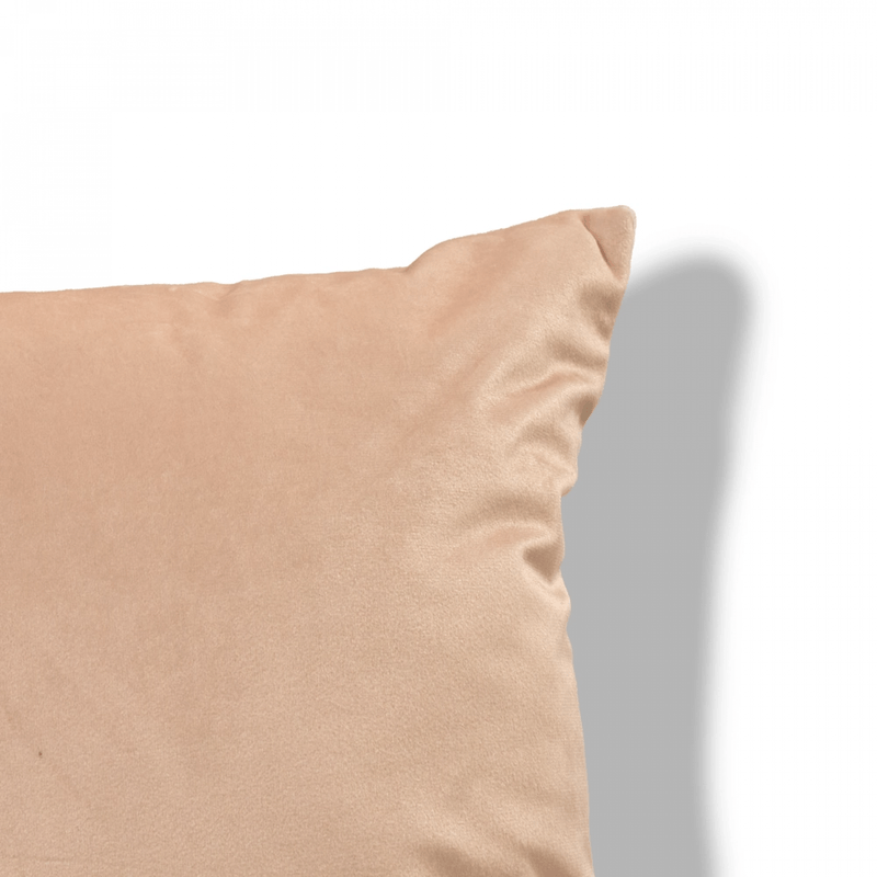 SETx2-COJINES-VELVET-EST-UNI-45x45-POP