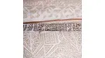 F.PLUMON-MICRO-EST-ED-TRAVESIA_7702997037375_4